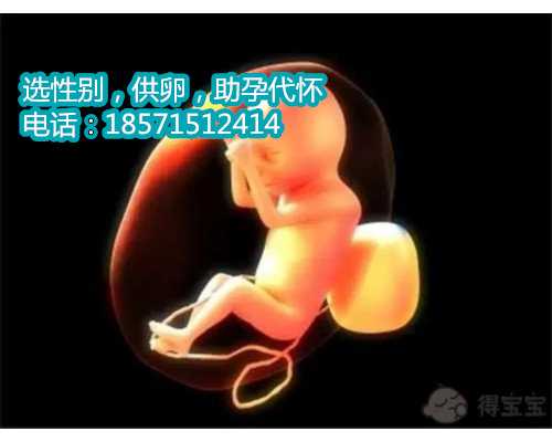 一代改二代郑州试管代怀官司质量如何一代转二代影不影响胚胎质量