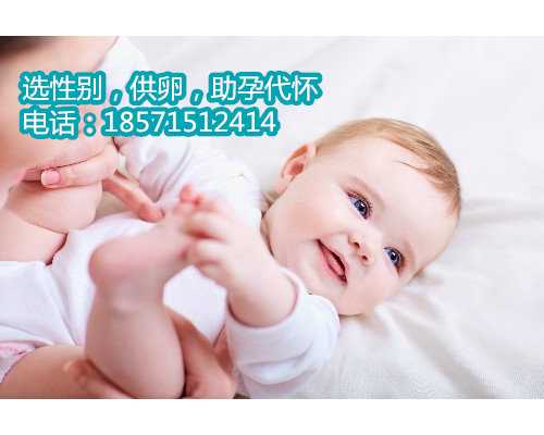 试管移植优质郑州代怀生个儿子的成功率是多少？